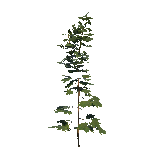 prefab_maple_bush_03