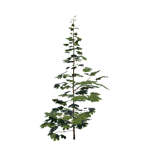 prefab_maple_bush_04