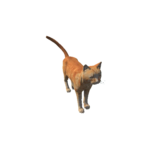 Cat_HighPoly_c1