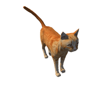 Cat_LowPoly_c1