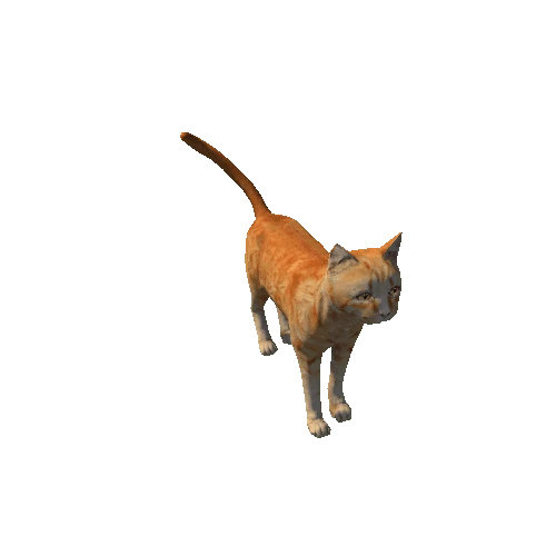 Cat_LowPoly_c1