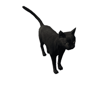 Cat_LowPoly_c3