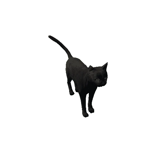 Cat_LowPoly_c3