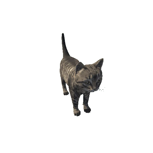 Kitten_HighPoly_c3