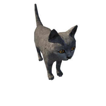 Kitten_LowPoly_c2