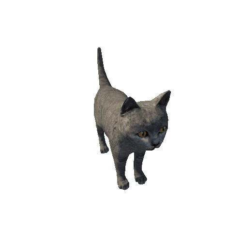 Kitten_LowPoly_c2