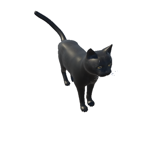 Cat_Fat_HIghPoly_c2