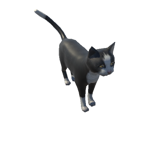 Cat_Fat_LowPoly_c1