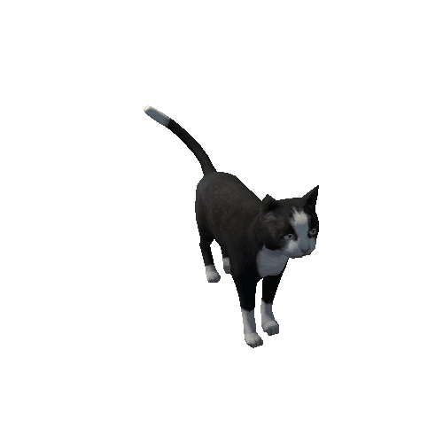 Cat_Fat_LowPoly_c1