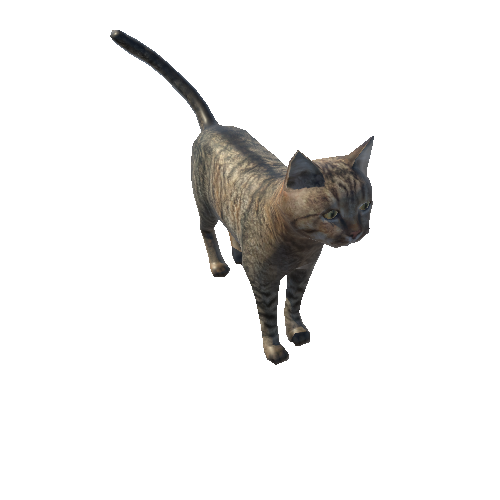 Cat_Fat_LowPoly_c5