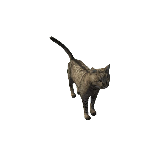 Cat_Fat_LowPoly_c5