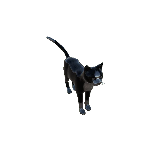 Cat_HighPoly_c1