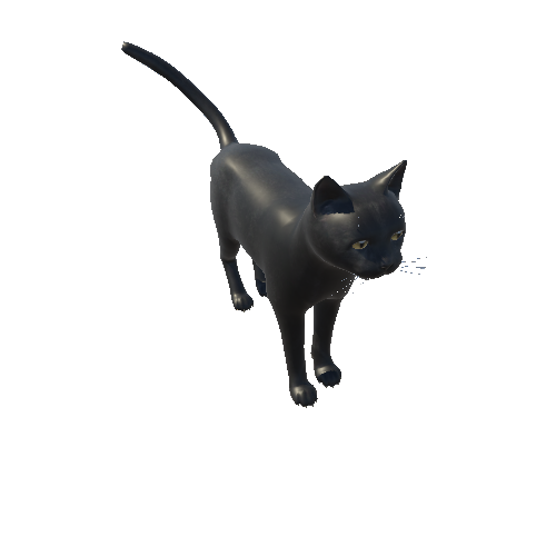 Cat_HighPoly_c2