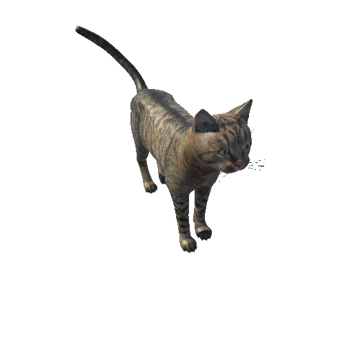 Cat_HighPoly_c5