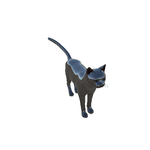 Cat_HighPoly_c6