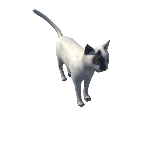 Cat_LowPoly_c7