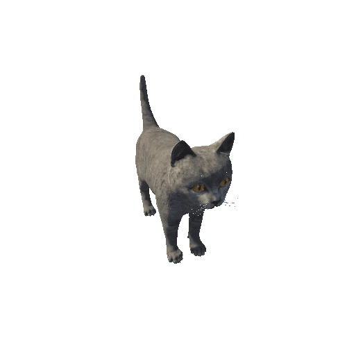 Kitten_HighPoly_c2