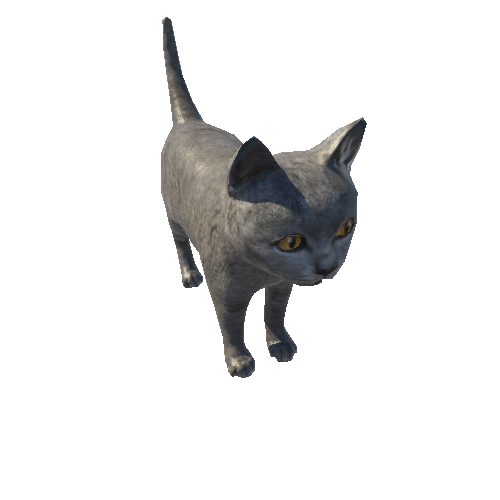 Kitten_LowPoly_c2