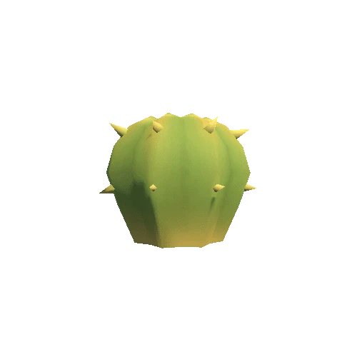 Cactus_1