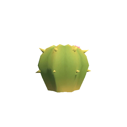 Cactus_1_1