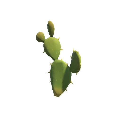 Cactus_2
