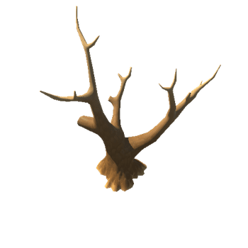 Tree_1