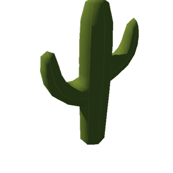 cactus_2