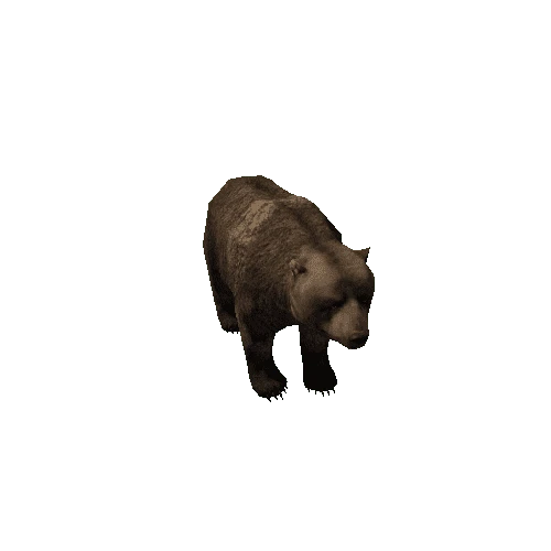 Bear_male_LowPoly_RM