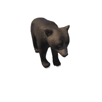 Bear_cub_HighPoly_IP