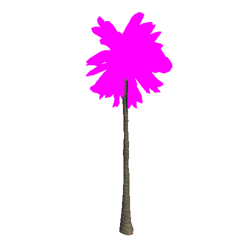 Palm_01