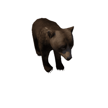 Bear_cub_LowPoly_RM