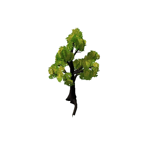 tree_0029_LOD0