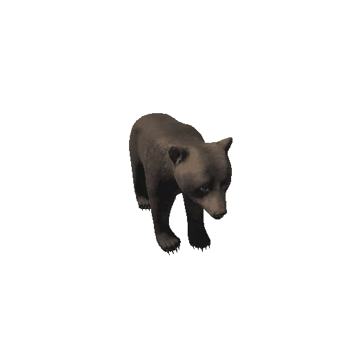 Bear_cub_HighPoly_IP