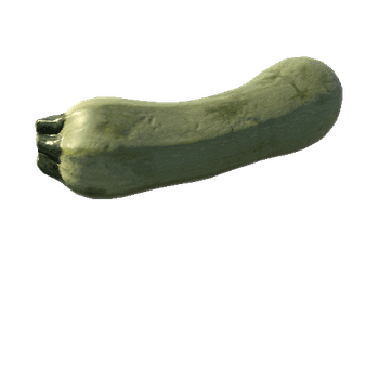 Zucchini_01