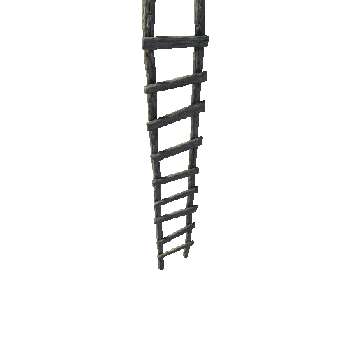 Ladder