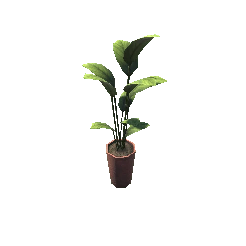 Plant_01