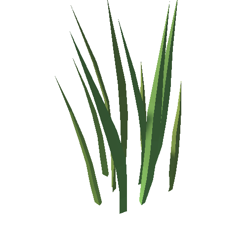 Grass