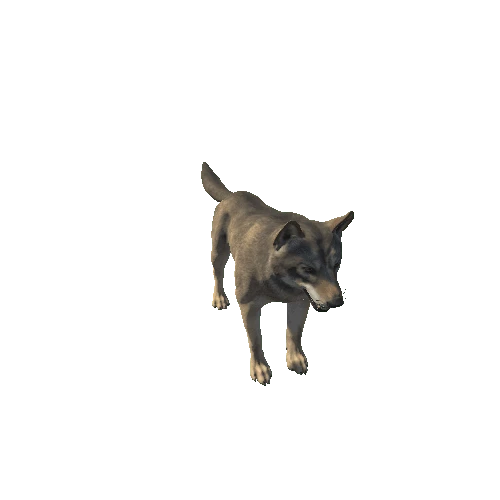 Wolf_HighPoly_c1