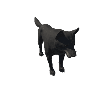 Wolf_HighPoly_c2