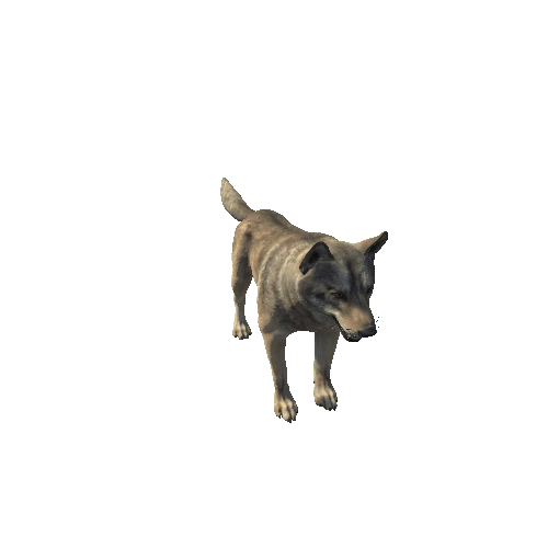 Wolf_HighPoly_c3