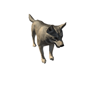 Wolf_LowPoly_c1