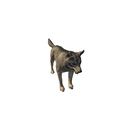 Wolf_LowPoly_c1