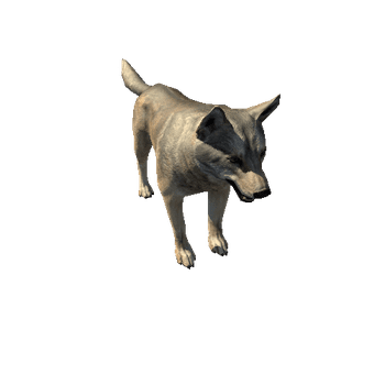 Wolf_LowPoly_c3