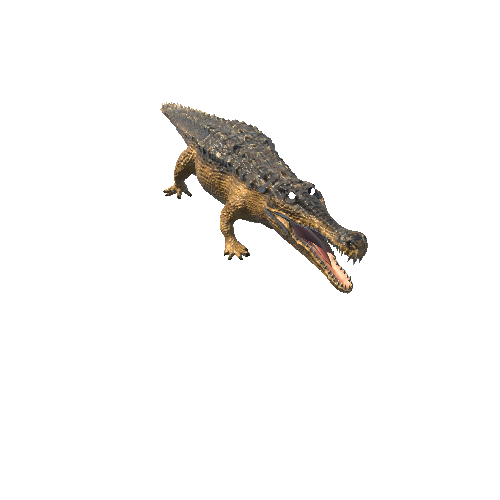 Sarcosuchus