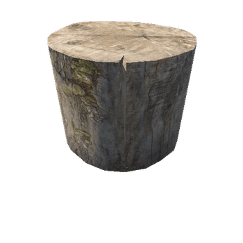 Stump_02