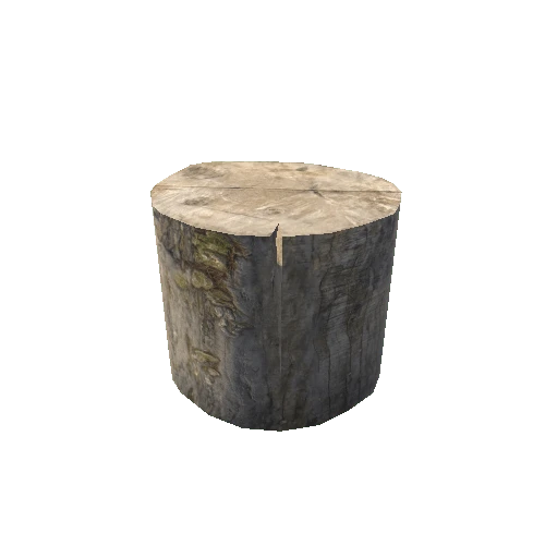 Stump_02