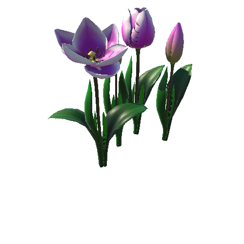 Flower_tulip_ping