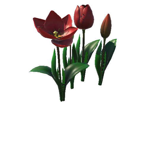 Flower_tulip_red