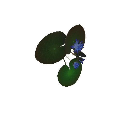 flower-Nymphaea_Blue