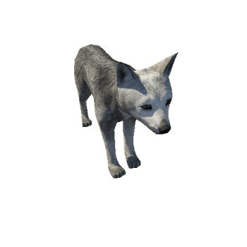 Wolf_cub_LowPoly_IP